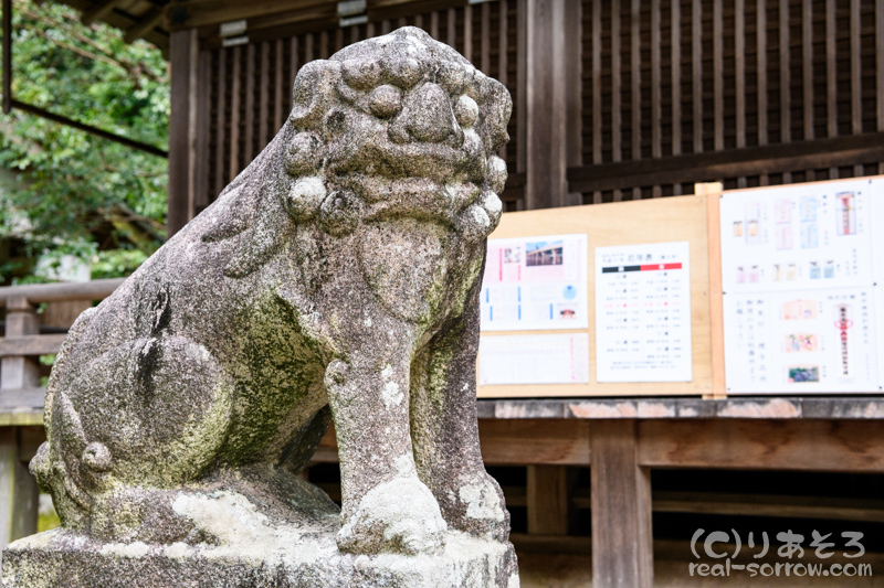 葛木坐火雷神社/吽形の狛犬