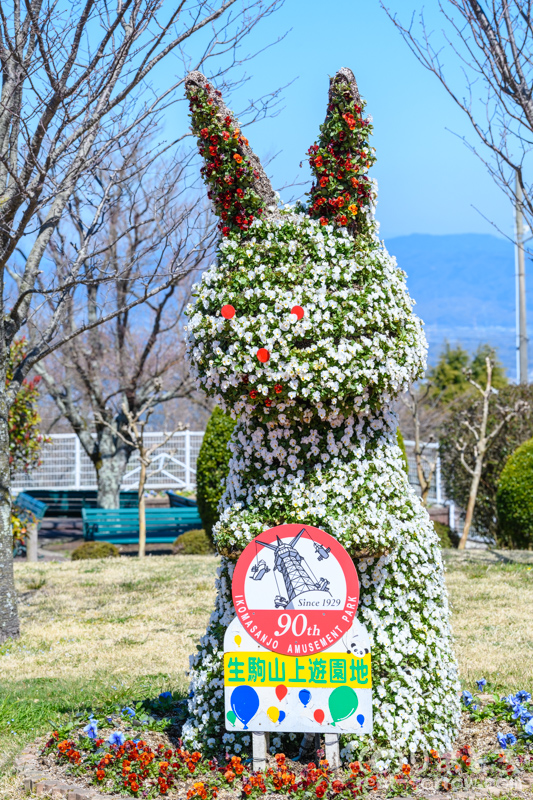 生駒山/ウサギ