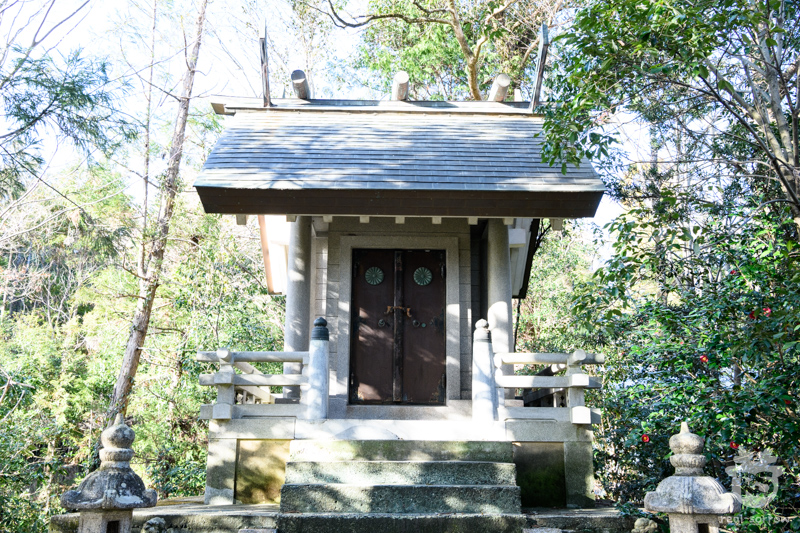 大和神社/素盞鳴神社の本殿 大和神社/素盞鳴神社の本殿