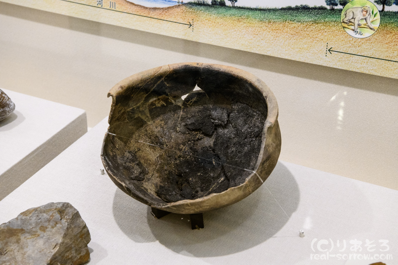 唐古・鍵考古学ミュージアム/米を炊いた鉢