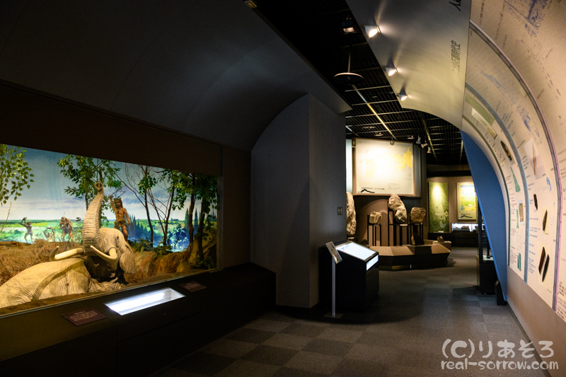 二上山博物館/常設展示室(2)