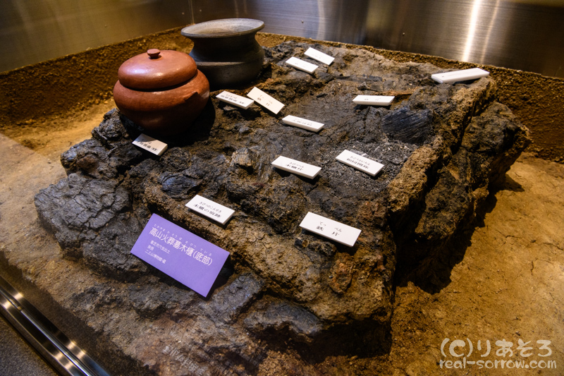 二上山博物館/高山火葬墓木櫃(底部)と出土品