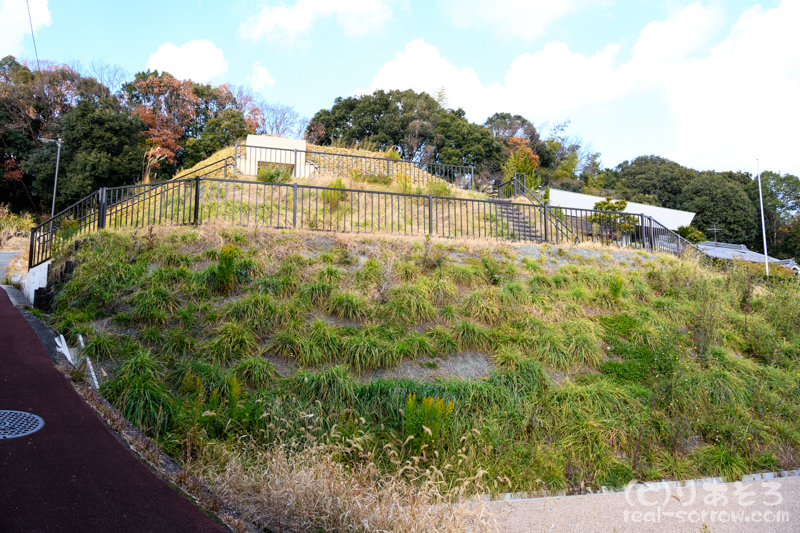 二上山博物館/平野塚穴山古墳(左)