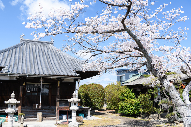 与楽寺/本堂