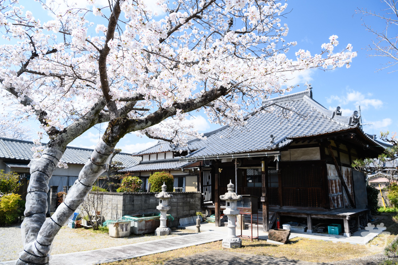 与楽寺/本堂(右)