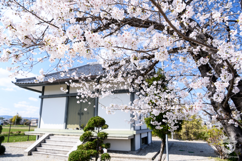 与楽寺/収蔵庫