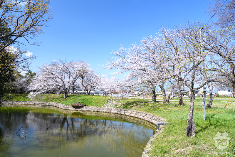 与楽寺/梵字池