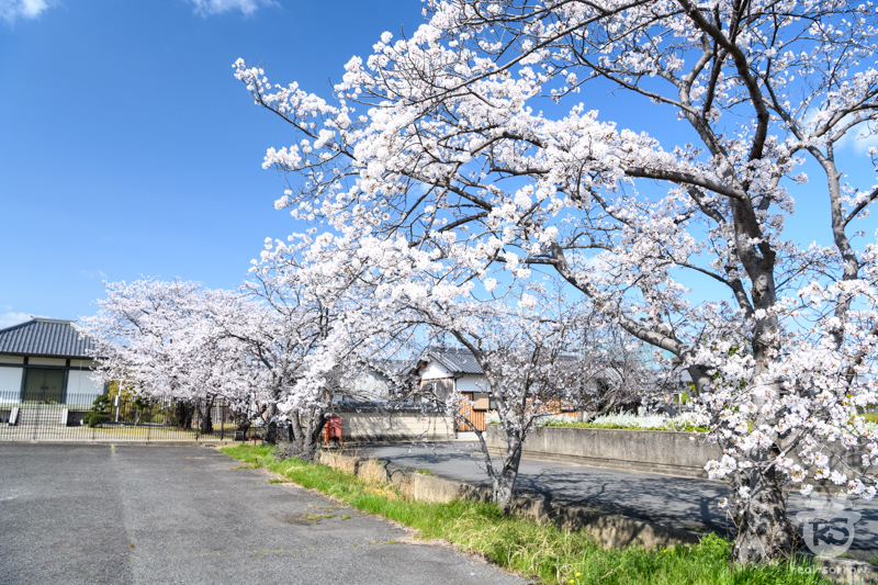与楽寺/観光駐車場