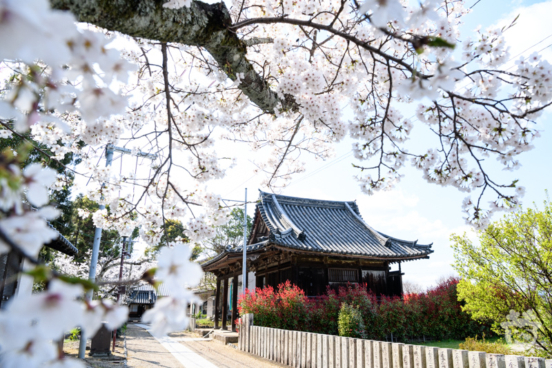 与楽寺/百済寺の本堂(右)