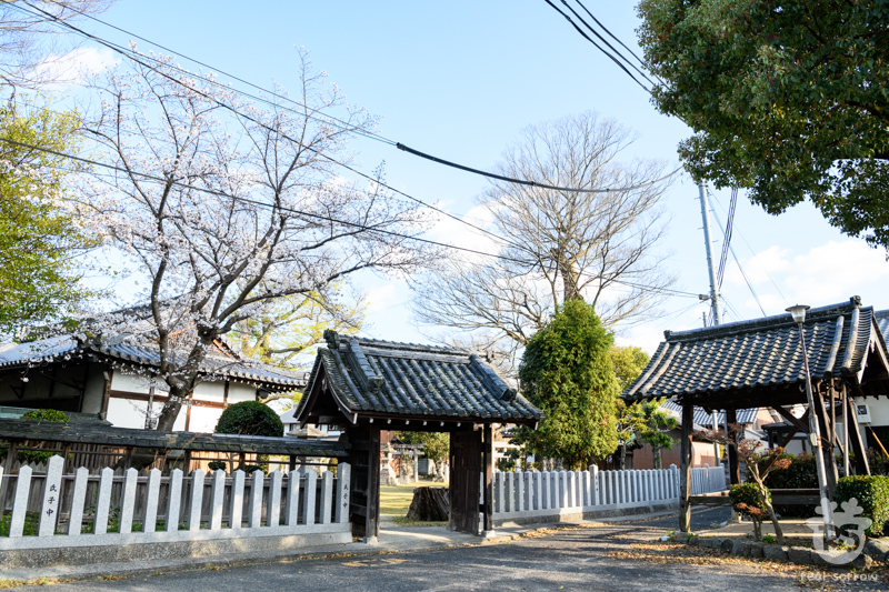 与楽寺/八坂神社