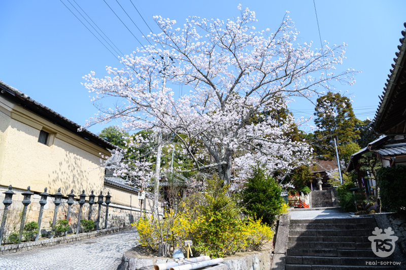 長弓寺/参道 長弓寺/参道