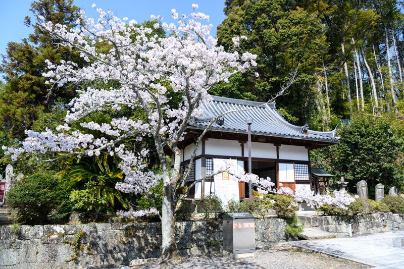 長弓寺/大師堂 長弓寺/大師堂