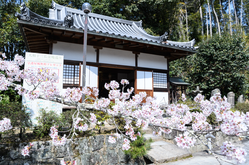 長弓寺/大師堂と桜 長弓寺/大師堂と桜