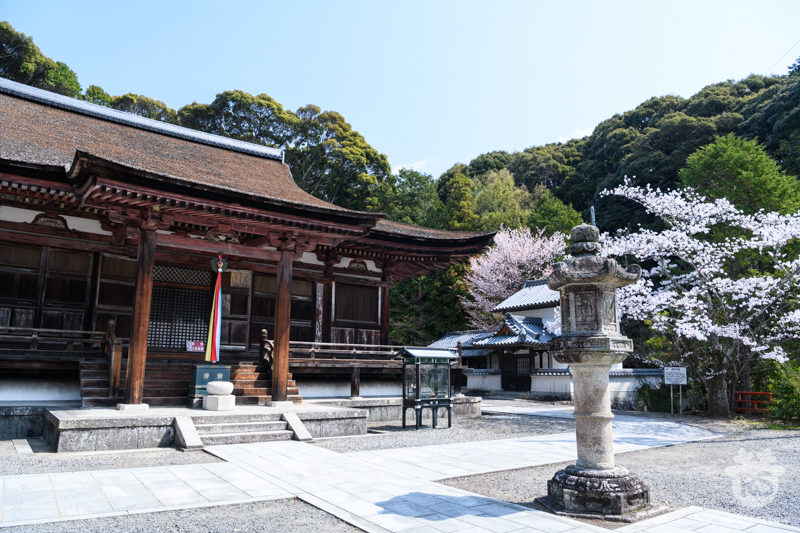 長弓寺/本堂と石灯籠 長弓寺/本堂と石灯籠