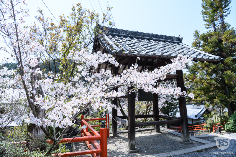 長弓寺/まゆみの鐘 長弓寺/まゆみの鐘