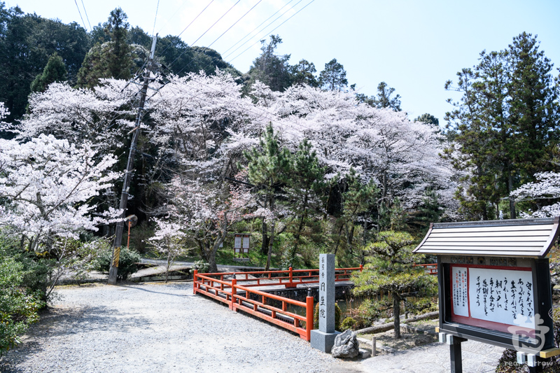 長弓寺/境内南側 長弓寺/境内南側