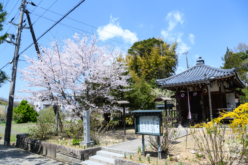 長弓寺/地蔵堂 長弓寺/地蔵堂
