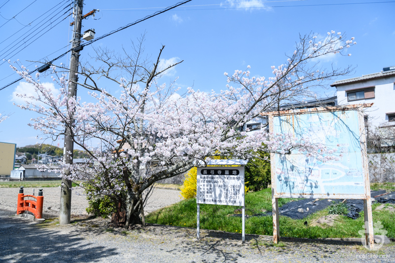 長弓寺/真弓山橋 長弓寺/真弓山橋