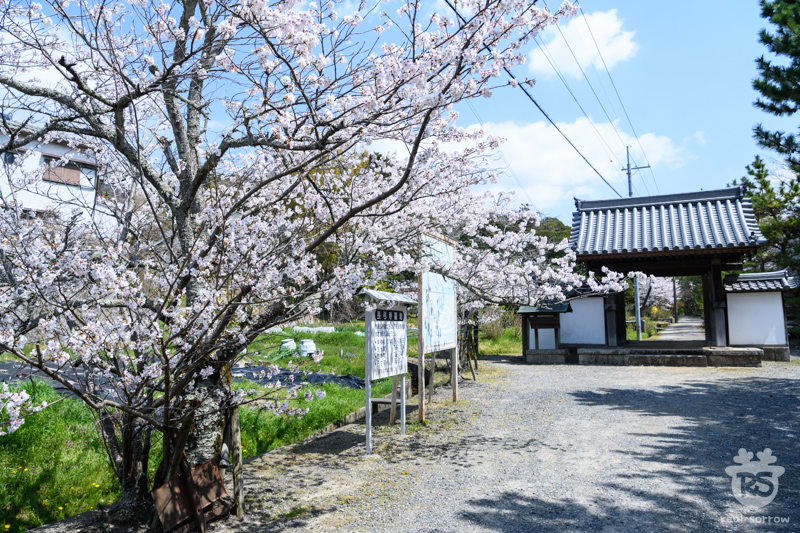 長弓寺/大門 長弓寺/大門