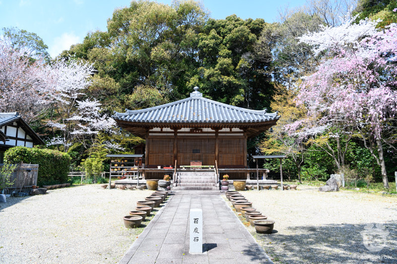 長弓寺/竹林寺 長弓寺/竹林寺