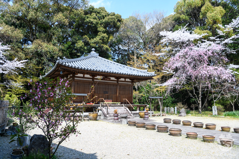 長弓寺/竹林寺の本堂(左) 長弓寺/竹林寺の本堂(左)