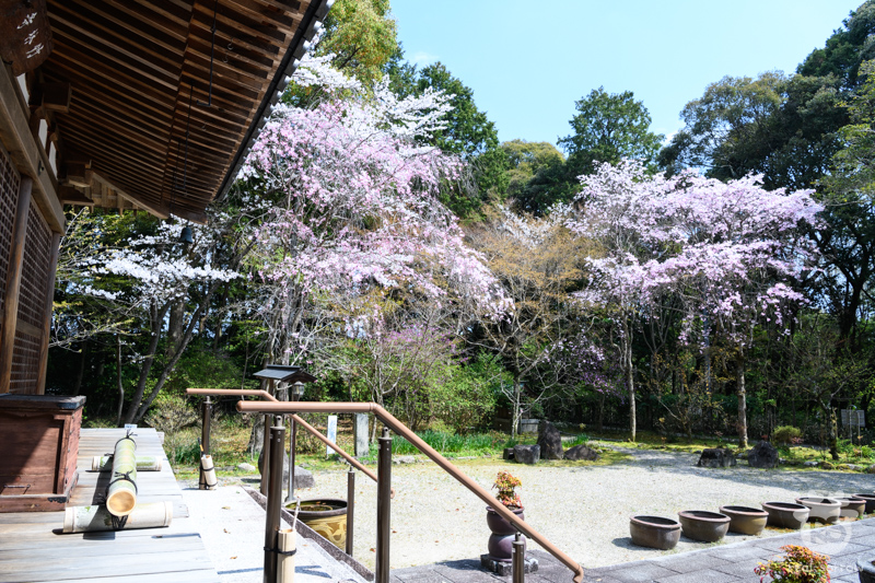 長弓寺/竹林寺の境内東側 長弓寺/竹林寺の境内東側