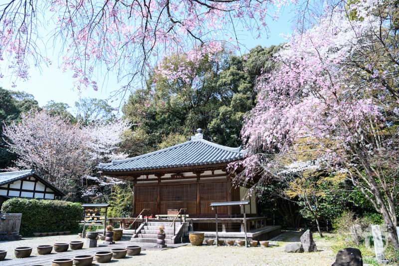 長弓寺/竹林寺の本堂 長弓寺/竹林寺の本堂