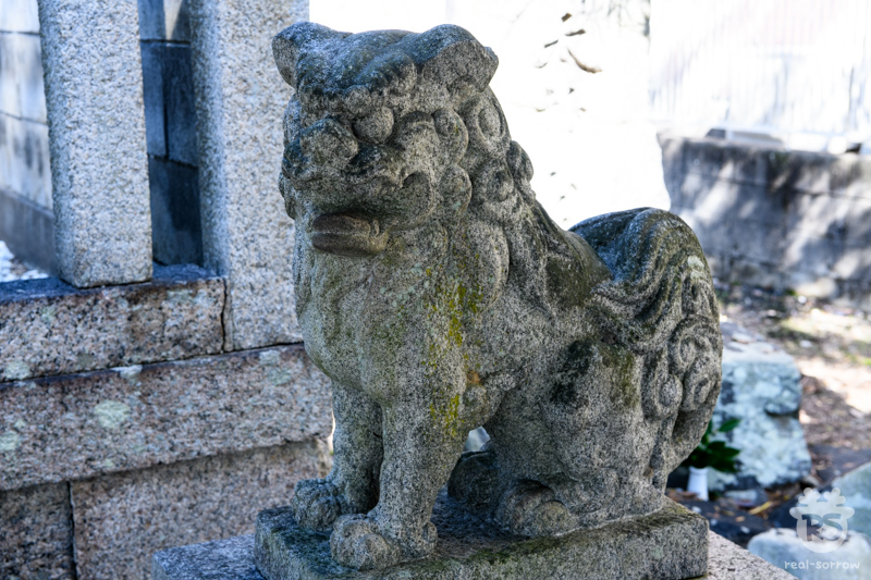 大和神社/渟名城入姫神社の狛犬(阿形)