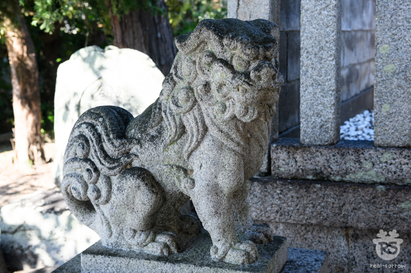 大和神社/渟名城入姫神社の狛犬(吽形)